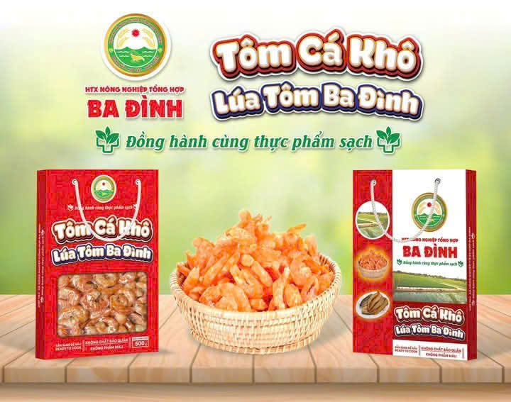 Tôm cá khô Ba Đình - Hợp Tác Xã Nông Nghiệp Tổng Hợp Ba Đình
